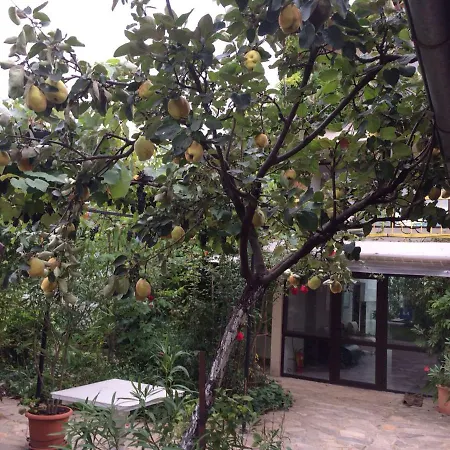 מלון Family Belvedere Dŭlgopol
